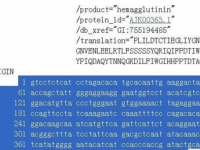 教程资讯：使用dnastar怎么打开基因序列 dnastar使用方法