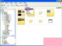 电脑系统小知识：如何处理WinXP缩略图不显示文件名的问题