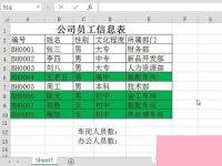 电脑系统小知识：在Excel中使用通配符的步骤和步骤