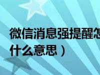 微信消息强提醒怎么提醒我（微信的强提醒是什么意思）