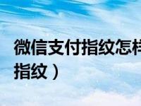 微信支付指纹怎样设置多个（微信支付怎样用指纹）