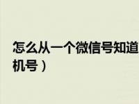 怎么从一个微信号知道人的手机号（如何通过微信号查找手机号）