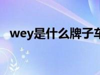 wey是什么牌子车标（wey是什么牌子车）