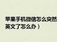 苹果手机微信怎么突然变成英文了（苹果手机微信突然变成英文了怎么办）