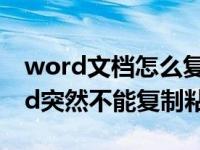 word文档怎么复制粘贴一整页（为什么word突然不能复制粘贴）