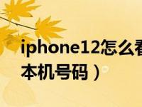 iphone12怎么看本机号码（iphone怎么看本机号码）