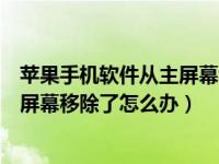 苹果手机软件从主屏幕移除怎么办（苹果不小心把软件从主屏幕移除了怎么办）