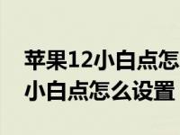 苹果12小白点怎么设置返回上一步（苹果12小白点怎么设置）