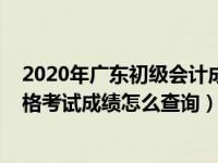 2020年广东初级会计成绩查询时间（2020年中高级会计资格考试成绩怎么查询）