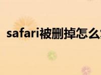 safari被删掉怎么复原（safari误删了咋办）