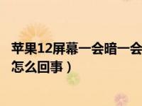 苹果12屏幕一会暗一会亮怎么设置（苹果手机一会亮一会暗怎么回事）