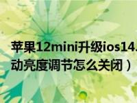 苹果12mini升级ios14.2.1亮度变暗（苹果手机ios14系统自动亮度调节怎么关闭）