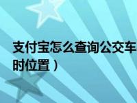 支付宝怎么查询公交车实时动态（支付宝怎么查询公交的实时位置）