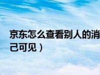 京东怎么查看别人的消费数据（京东怎么设置消费数据仅自己可见）