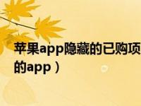 苹果app隐藏的已购项目怎么删除（苹果手机如何删除隐藏的app）