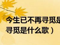 今生已不再寻觅是什么歌的歌词（今生已不再寻觅是什么歌）