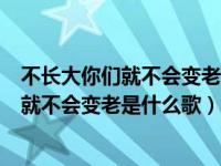 不长大你们就不会变老这是什么歌（是不是我们不长大你们就不会变老是什么歌）