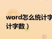 word怎么统计字数总和2016（word怎么统计字数）