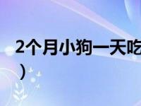 2个月小狗一天吃几顿（1至3个月小狗吃什么）