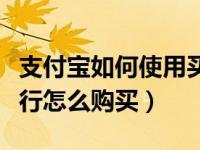 支付宝如何使用买火车票（支付宝火车票任你行怎么购买）