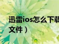 迅雷ios怎么下载文件（迅雷iOS端怎么下载文件）