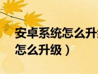 安卓系统怎么升级到11.0.0.180（安卓系统怎么升级）