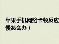 苹果手机网络卡顿反应慢怎么解决（苹果手机上网卡顿反应慢怎么办）