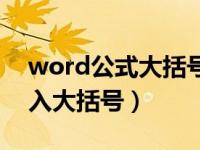 word公式大括号怎么输入（word里怎么输入大括号）