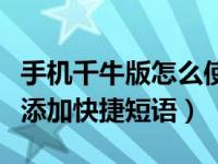 手机千牛版怎么使用快捷短语（手机千牛怎么添加快捷短语）