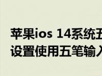 苹果ios 14系统五笔输入法（苹果iOS14怎么设置使用五笔输入）