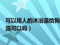 可以用人的沐浴露给狗狗洗澡的吗（给狗狗洗澡用人的沐浴露可以吗）