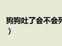 狗狗吐了会不会死掉（狗狗吐白沫能自己好吗）