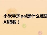 小米手环pai是什么意思（小米手环5的PAI是什么怎么查看PAI指数）