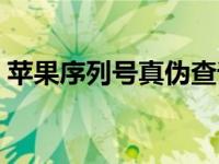 苹果序列号真伪查询（苹果手机查询序列号）