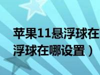 苹果11悬浮球在哪设置排列顺序（苹果11悬浮球在哪设置）