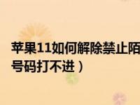 苹果11如何解除禁止陌生号码来电（苹果手机怎么设置陌生号码打不进）