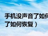 手机没声音了如何恢复最佳答案（手机没声音了如何恢复）