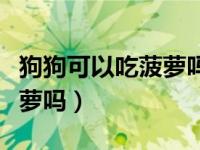 狗狗可以吃菠萝吗会有影响吗（狗狗可以吃菠萝吗）