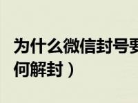 为什么微信封号要别人解封（微信被封号后如何解封）