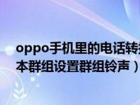 oppo手机里的电话转接怎么设置（OPPO手机怎么为电话本群组设置群组铃声）