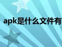 apk是什么文件有病毒吗（apk是什么文件）