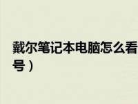 戴尔笔记本电脑怎么看自己的型号（戴尔笔记本怎么查看型号）