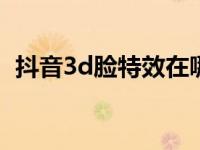 抖音3d脸特效在哪里（抖音的特效在哪里）