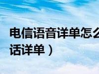 电信语音详单怎么查询（电信怎么查看语音通话详单）