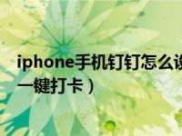 iphone手机钉钉怎么设置一键打卡（iPhone怎么设置钉钉一键打卡）