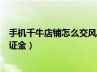 手机千牛店铺怎么交风险保证金（手机千牛怎么缴纳店铺保证金）