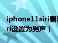 iphone11siri删除男声（iPhone11怎么将Siri设置为男声）