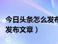 今日头条怎么发布文章有收益（今日头条怎么发布文章）