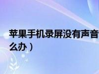 苹果手机录屏没有声音怎么解决（苹果手机录屏没有声音怎么办）