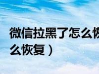 微信拉黑了怎么恢复到新手机（微信拉黑了怎么恢复）